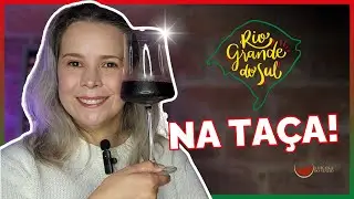 12 VINHOS GAÚCHOS Para Se SURPREENDER