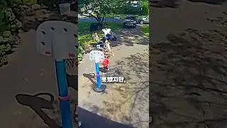 아무도 모르게 조용히 가족에게 접근한 곰