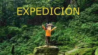 EXPEDICIÓN #2 / TLACUACHE, TARÁNTULA BEBÉ Y SAPO QUE SE QUISO SUICIDAR.
