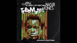 Nas & A Tribe Called Quest: TribeMatic