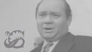 Марусенька ♫ на губной гармошке