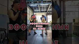 🔥Эффективный Бокс на Лапах | Training Boxing #kickboxing #бокс #мма #boxing #mma #бой #спарринг