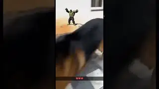 Hulk and Dog 