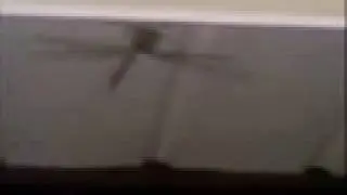 The Colossal dragonfly