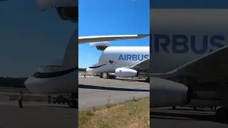 Ух ты! Я Beluga встретил! Только вот где?  