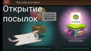 Открытие посылок, cats Empire ,игра умирающая легенда(