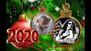 Чиверс Новый Год 2020