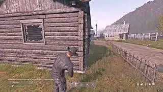 кепкоюзер dayz vanilla