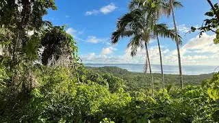 Palau ‘23 :: Krása prírody