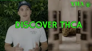 Discover THCA: Introducing Our Exciting New Prerolls!