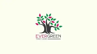 Evergreen Tree Care Profile