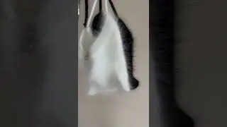 Волшебство 🥹