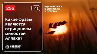 256. Глава 41. Какие фразы являются отрицанием милостей Аллаха? Единобожие в вопросах и ответах