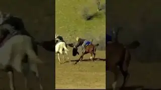 Ҳунару Маҳорати Буз гирии -Довуд човандоз н.Темурмалик д.Занги-БоБо