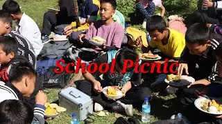 Nature Walk & School Picnic