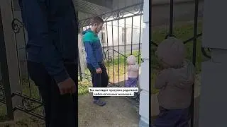 Залезть на каждый забор, посидеть на каждом камне)) #источник_любви #рекомендации #семья #юмор