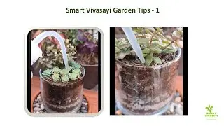 Smart Vivasayi Garden Tips - 1