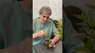 Натуральный домашний скраб для тела. Скраб из кофейного жмыха и кофе