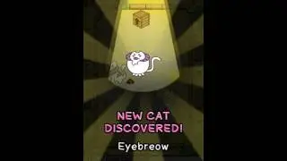 Cat Evolution ep 1 / DG