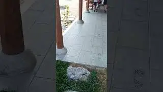 Кофейня Киссатэн 喫茶 大