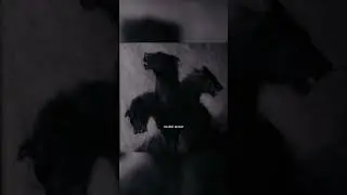 Canserbero - Guía para la acción / letra