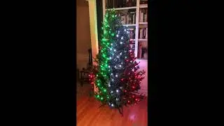 Jo playing with her iPhone controlled Christmas tree lights