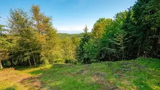 V naselju Orle prodamo zemljišče v skupni velikosti 2514 m2