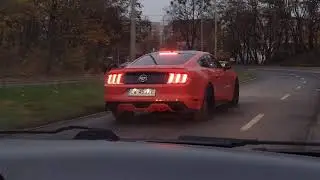 Strimchik