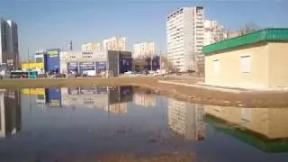 Летять утки
