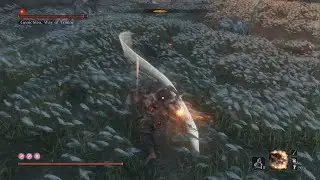 How to kill Genichiro way of Tomoe under 35 seconds using High Monk Art