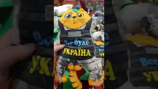 Даже у кота есть яйца #украина #кот #славаукраине #путинхуйло