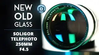 New Old Glass: Soligor 250mm F4.5 - Vintage Bird Photography