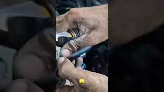 Все уже украдено до нас 