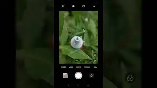 #mobilephotograpy #photography #shortvideo #youtubeshorts #macrophotography