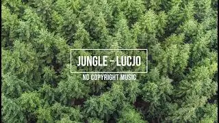 Jungle – Lucjo (Blue No Copyright Music)