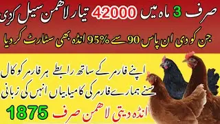 Lohmann Brown biggest Hen Provider Farm in Pakistan
