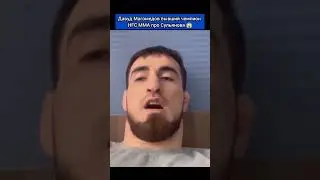 Давуд Магомедов бывший чемпион HFC MMA про Сульянова