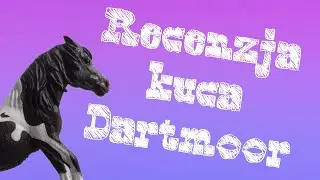 Recenzja kuca Dartmoor