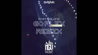 DNVND - Go Flex (Remix)