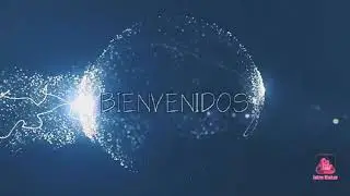 Problemas