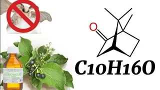 Получение Камфоры. C10H16O. Из камфорного спирта!