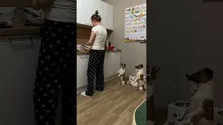 Попрошайки 