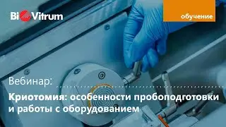 Криотомия: особенности пробоподготовки и работы с оборудованием