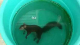 failblog