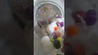 Hedgehog digbox