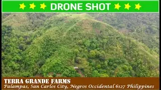 Drone shot of Terra Grande Farms