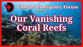 Our Vanishing Coral Reefs