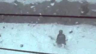 Havin' fun in the snow:inside