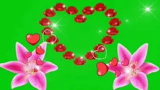 Green screen flowers effect. Rose green screen effects. Effect. Flowers green screen effects.