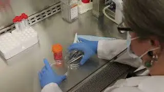 GBM